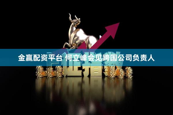 金赢配资平台 何立峰会见跨国公司负责人