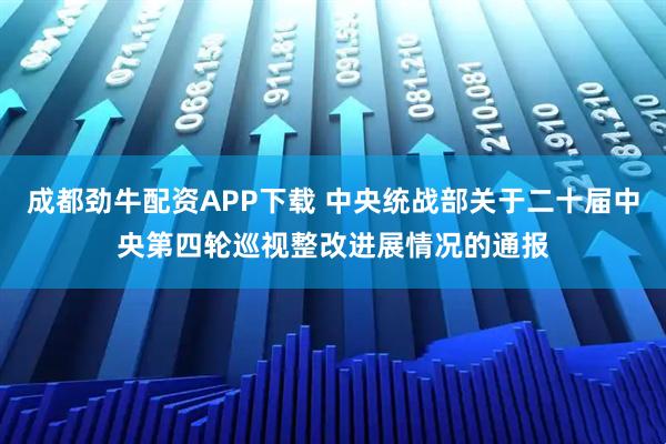 成都劲牛配资APP下载 中央统战部关于二十届中央第四轮巡视整改进展情况的通报