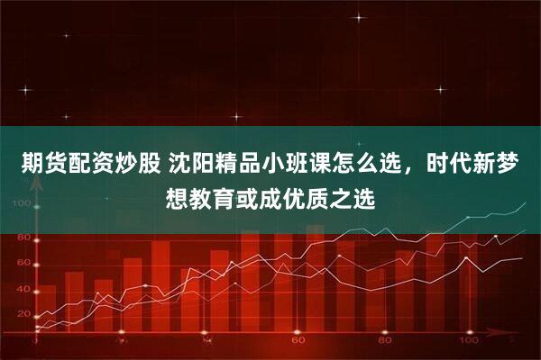 期货配资炒股 沈阳精品小班课怎么选，时代新梦想教育或成优质之选
