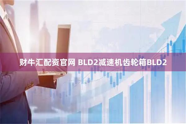 财牛汇配资官网 BLD2减速机齿轮箱BLD2