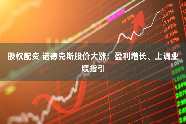 股权配资 诺德克斯股价大涨：盈利增长、上调业绩指引