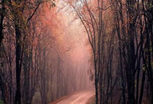 股民配资炒股:用哪些app看股票-商务部新闻发言人就中美伦敦框架有关情况答记者问